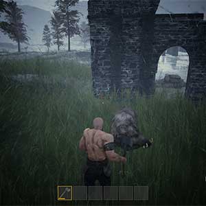 Rogue Frontiers Cinghiale