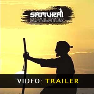 Acquistare Samurai Simulator CD Key Confrontare Prezzi