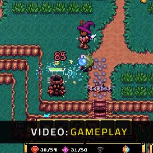 Serin Fate Video di Gioco