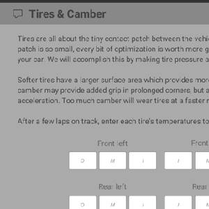 Setup Developer Tool 2021 - Pneumatici e Campanatura