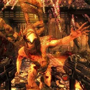 Shadow Warrior - Uomo Uccello