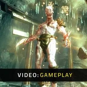 Shadow Warrior - Video di Gameplay