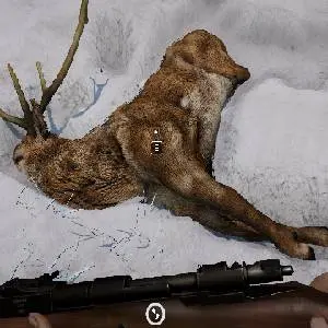 Short Snow - Caccia al cervo