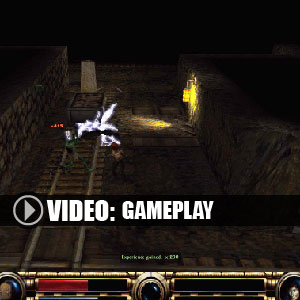 Soulbringer Gameplay Video