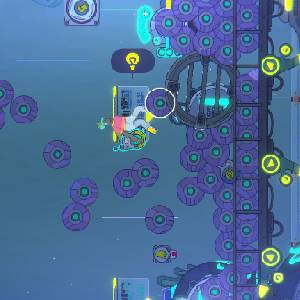 Space Sprouts - Gravità Dinamica