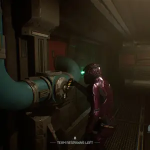 Species: Unknown - Valvola del Tubo