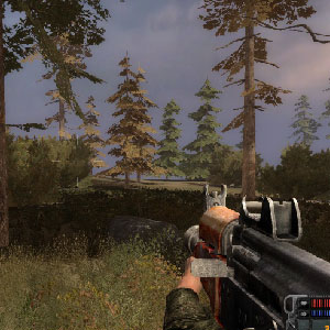 S.T.A.L.K.E.R. Call Of Pripyat - Cane mutato