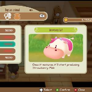 Story of Seasons Friends of Mineral Town - Vitello Fragola