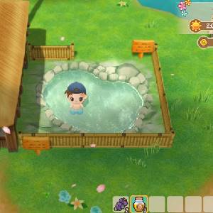 Story of Seasons Friends of Mineral Town - Sorgente Termale
