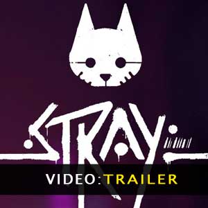 Stray Video Trailer