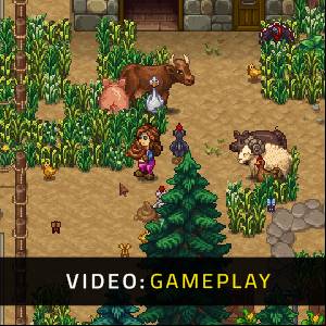 Super Zoo Story Video di Gioco