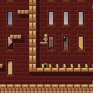 SuperDuck! - Deserto