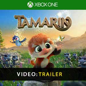Tamarin Xbox One Gioco Confrontare Prezzi