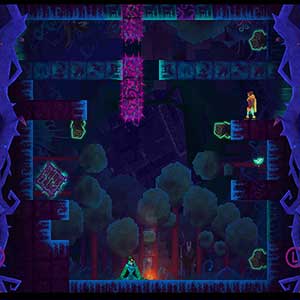 Tetragon Bosco scuro