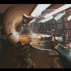 The Anacrusis Granata Scudo