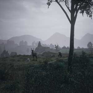 The Black Death Terreno medievale