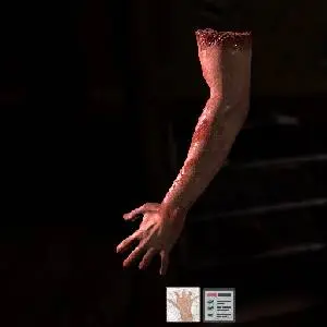 The Black Within - Braccio Umano