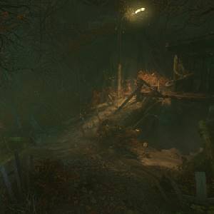 The Cursed Forest - Casa Abbandonata