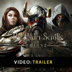 The elder Scrolls online