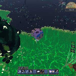 The Faraway Land Palude