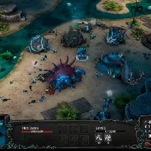 The Hive - Alveare Regina