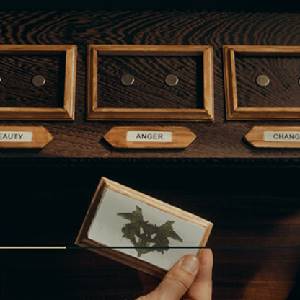 The Isle Tide Hotel Scelte