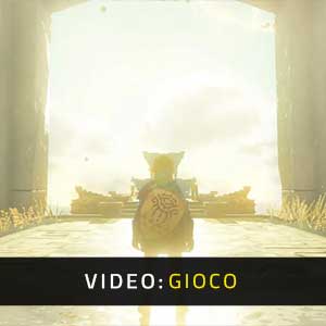 The Legend of Zelda Tears of the Kingdom Video Del Gioco