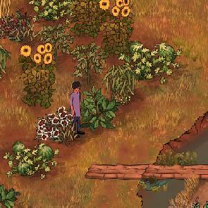 The Palace on the Hill - Vir