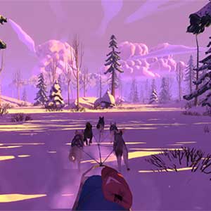 squadra di cani da slitta