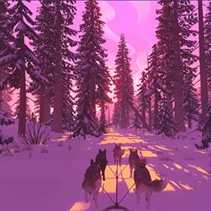 sopravvivere nella natura selvaggia