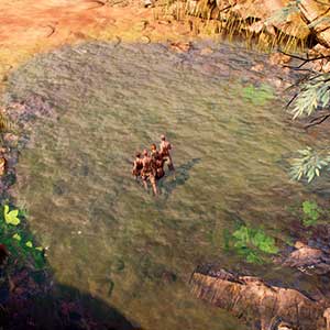 Rallegrati che siamo salvi