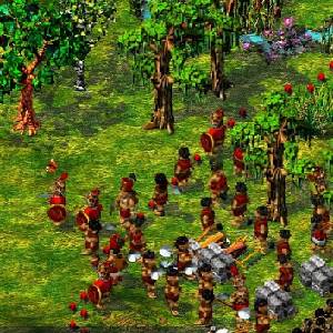 The Settlers 4 - Truppe