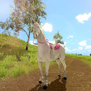 Fai amicizia con Unica l'unicorno