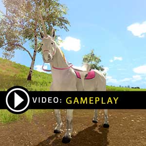 Il video del gioco della Principessa Unicorno
