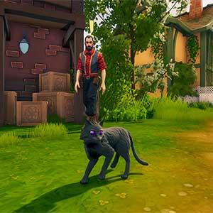 The Witch of Fern Island - Vertraute Katze