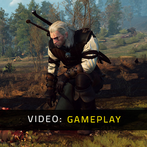 The Witcher 3 Wild Hunt - Video di gioco