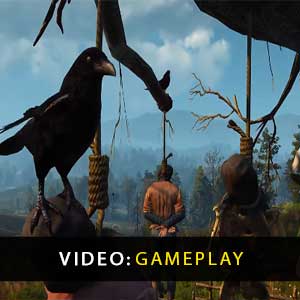 The Witcher 3 Wild Hunt Video di gioco