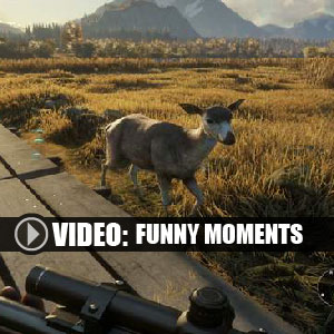 theHunter Call of the Wild Momenti divertenti