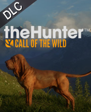 theHunter Call of the Wild Bloodhound Pc