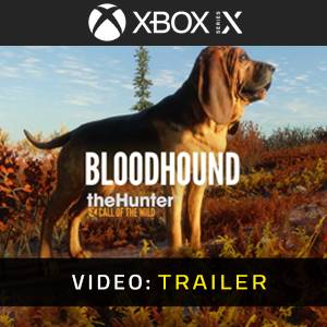 theHunter Call of the Wild Bloodhound Trailer del video