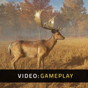 theHunter Call of the Wild Tents and Ground Blinds Video di Gioco