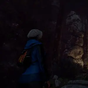 Through the Woods - Capanno Bruciato