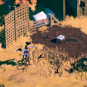 Tiny Delivery - Campo