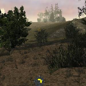 Tom Clancys Ghost Recon 2001 - Foresta