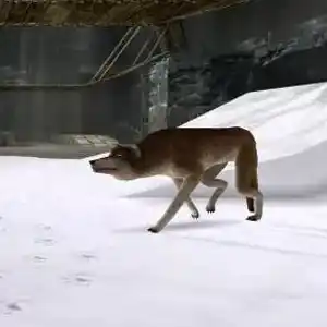 Tomb Raider I-II-III Remastered - Lupo