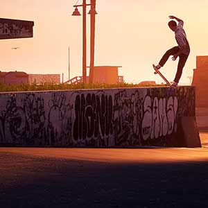 Tony Hawk’s Pro Skater 1+2 Carattere