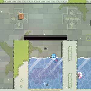 Toodee and Topdee Puzzle d'acqua