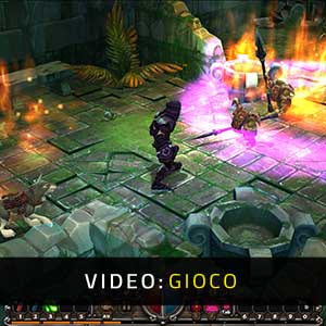 Torchlight Video di gioco