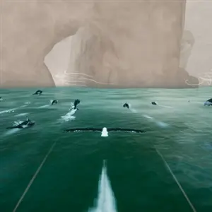 Toroa: Skycall – Delfini