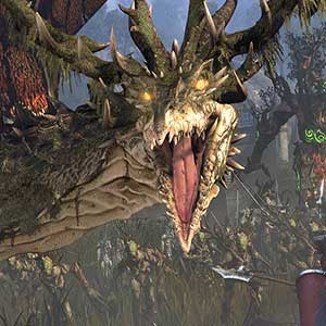Wood Elves Signori che combattono i mostri giganti